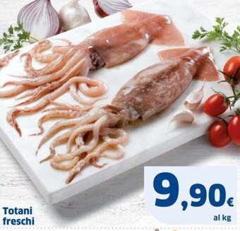 Totani freschi