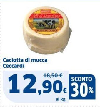 Sigma Caciotta di mucca Ceccardi offerta