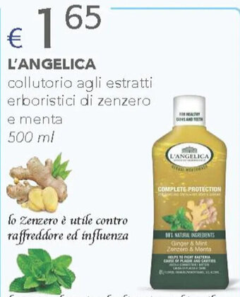 L'ANGELICA collutorio agli estratti erboristici di zenzero e menta 500 ml