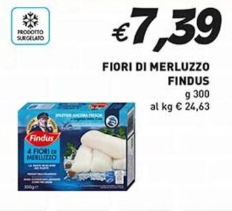 Supermercato Coal FIORI DI MERLUZZO FINDUS g 300 offerta