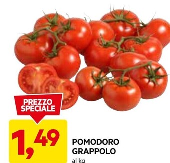 DPiù Pomodoro grappolo offerta