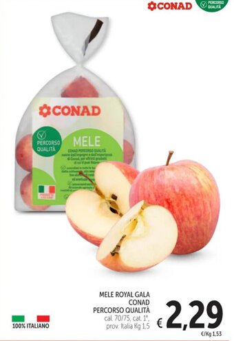Spazio Conad MELE ROYAL GALA CONAD PERCORSO QUALITÀ offerta