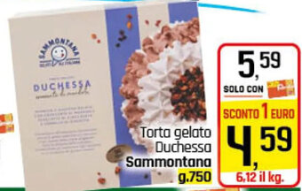 Famila Superstore Torta gelato Duchessa Sammontana g.750 offerta