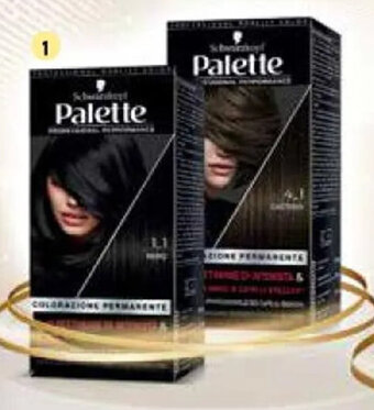 PALETTE COLORAZIONE PERMANENTE Varie tonalità