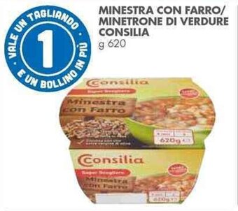 Italmark MINESTRA CON FARRO/ MINETRONE DI VERDURE CONSILIA g 620 offerta