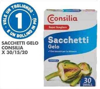 SACCHETTI GELO CONSILIA X 30/15/20