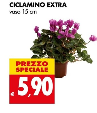 Tigros CICLAMINO EXTRA vaso 15 cm offerta