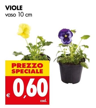 Tigros VIOLE vaso 10 cm offerta