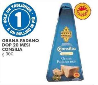 Italmark GRANA PADANO DOP 20 MESI CONSILIA g 300 offerta
