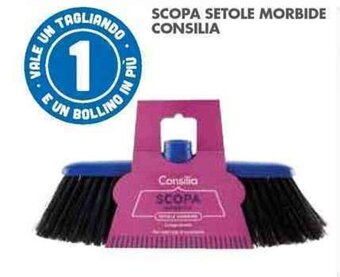 SCOPA SETOLE MORBIDE CONSILIA