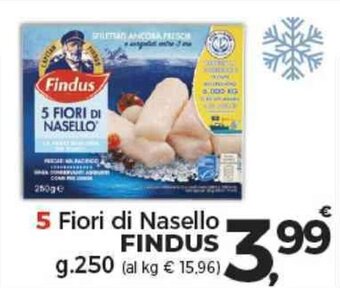 5 Fiori di Nasello FINDUS g.250