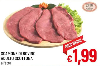 A&O SCAMONE DI BOVINO ADULTO SCOTTONA offerta