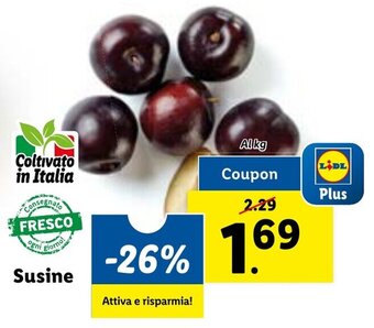 Lidl Susine offerta