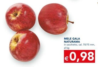 Esselunga MELE GALA NATURAMA offerta