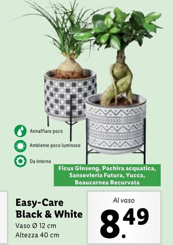 Easy-Care Black & White Vaso Ø 12 cm Altezza 40 cm