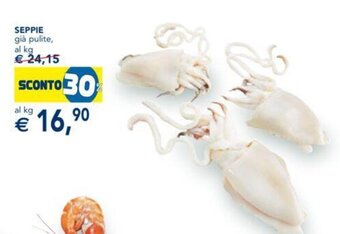 Esselunga SEPPIE offerta
