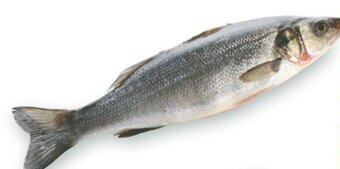 Esselunga BRANZINO NATURAMA offerta