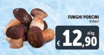 FUNGHI PORCINI interi