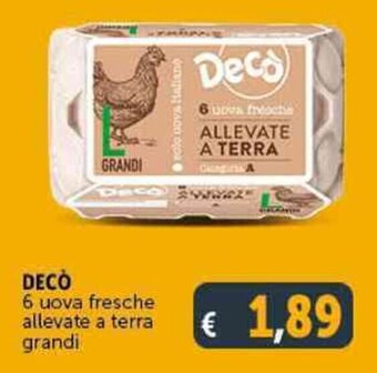 Deco Supermercati DECÒ 6 uova fresche allevate a terra grandi offerta