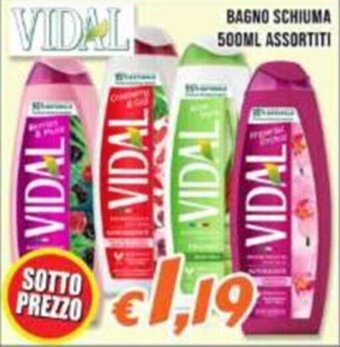 Supermercati Emark BAGNO SCHIUMA 500ML ASSORTITI offerta