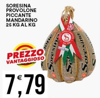 Vantaggio Cash&Carry SORESINA PROVOLONE PICCANTE MANDARINO 25 KG offerta