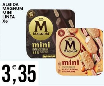 Vantaggio Cash&Carry ALGIDA MAGNUM MINI LINEA X6 offerta
