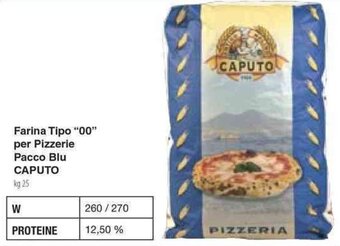 Docks Cash&Carry Farina Tipo "00" per Pizzerie Pacco Blu CAPUTO kg 25 offerta