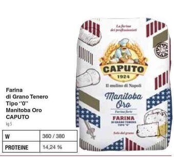 Farina di Grano Tenero Tipo "0" Manitoba Oro CAPUTO kg 5