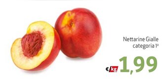Maxi Family Nettarine Gialle offerta