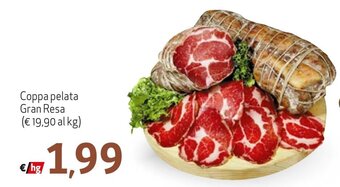 Coppa pelata Gran Resa