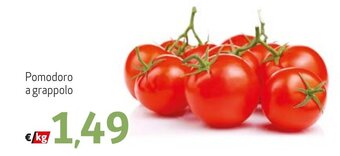Maxi Family Pomodoro a grappolo offerta