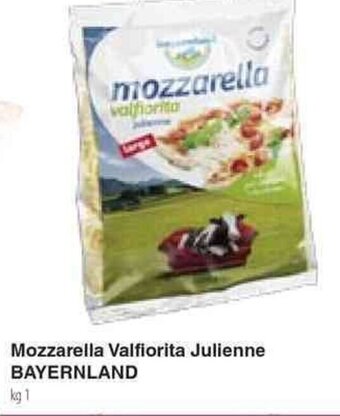 Docks Cash&Carry Mozzarella Valfiorita Julienne BAYERNLAND kg 1 offerta