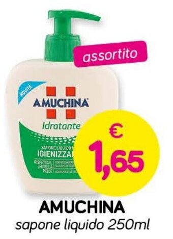 AMUCHINA sapone liquido 250ml