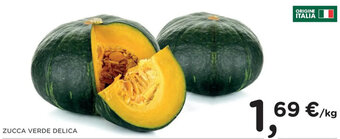 ZUCCA VERDE DELICA