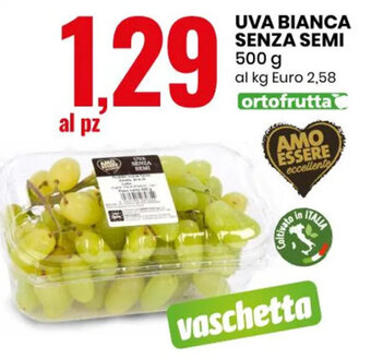 UVA BIANCA SENZA SEMI 500 g