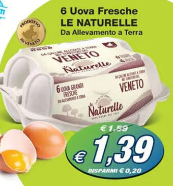 6 Uova Fresche LE NATURELLE Da Allevamento a Terra