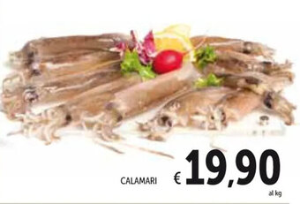 Spazio Conad CALAMARI offerta