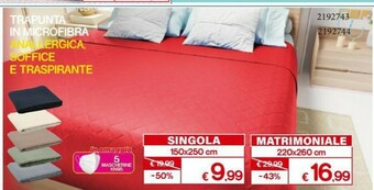Satur 2192743 Trapunta In Microfibra Nalergica, Soffice E Traspirante offerta