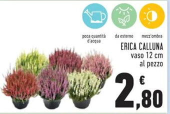 Conad ERICA CALLUNA vaso 12 cm al pezzo offerta