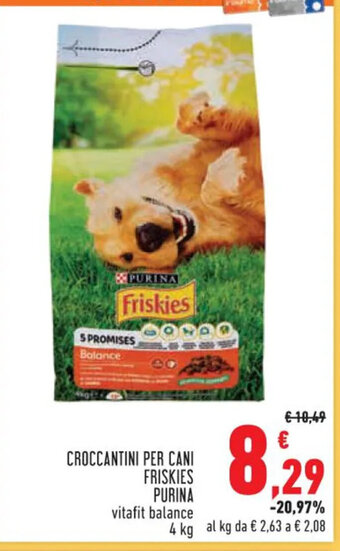 Conad CROCCANTINI PER CANI FRISKIES PURINA vitafit balance 4 kg offerta