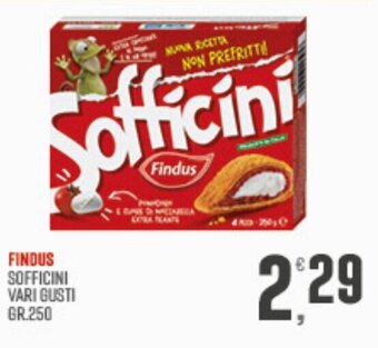 Maxipiù FINDUS SOFFICINI VARI GUSTI GR.250 offerta