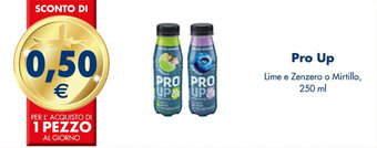 Esselunga Pro Up Lime e Zenzero o Mirtillo, 250 ml offerta