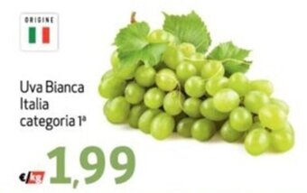 Uva Bianca Italia