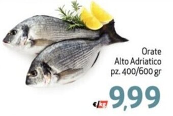 Orate Alto Adriatico pz. 400/600 gr