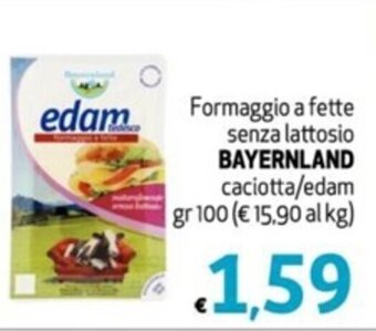 SuperW Formaggio a fette senza lattosio BAYERNLAND caciotta/edam gr 100 offerta