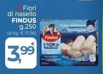 Supermercati Dok 5 Fiori di nasello FINDUS g. 250 offerta