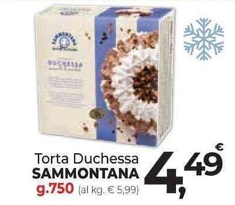 Supermercati Dok Torta Duchessa SAMMONTANA g.750 offerta