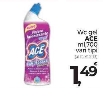 Supermercati Dok Wc gel ACE ml.700 offerta