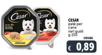 CESAR patè per cane vari gusti g 150