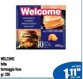WELCOME fette formaggio fuso gr. 200